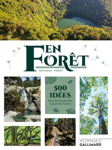 En forêt