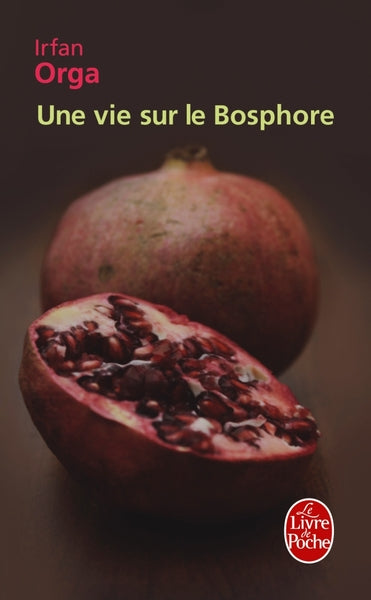 une vie sur le bosphore