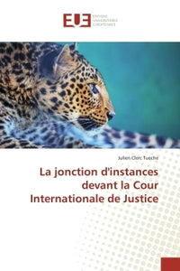 La jonction d'instances devant la Cour Internationale de Justice