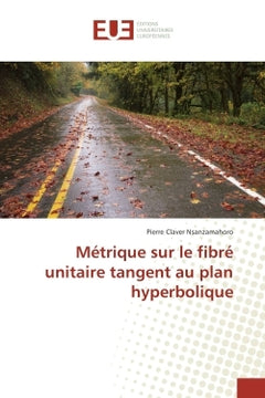Metrique sur le fibre unitaire tangent au plan hyperbolique