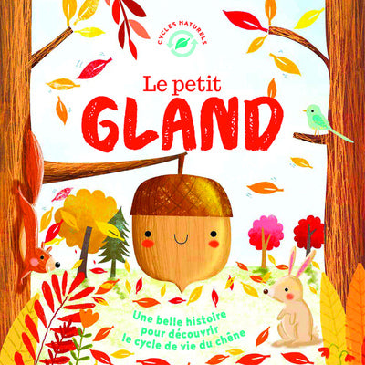 Le petit gland ne