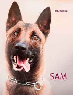 Sam
