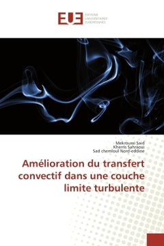 Amelioration du transfert convectif dans une couche limite turbulente