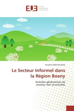 Le Secteur Informel dans la Region Boeny