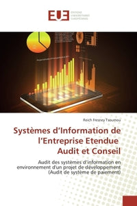 Systèmes d'Information de l'Entreprise Etendue Audit et Conseil