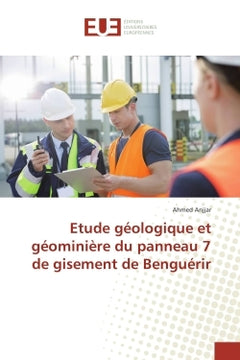 Etude geologique et geominiere du panneau 7 de gisement de Benguerir