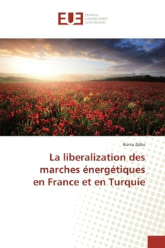 La liberalization des marches energetiques en France et en Turquie