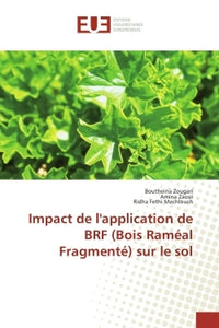 Impact de l'application de BRF sur le sol