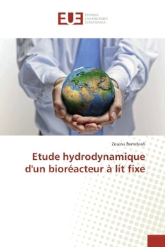 Etude hydrodynamique d'un bioreacteur A lit fixe