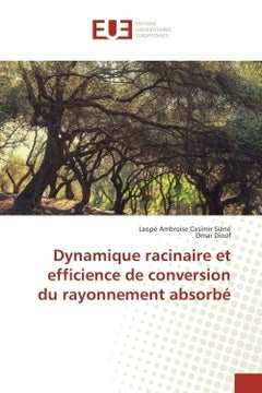 Dynamique racinaire et efficience de conversion du rayonnement absorbe