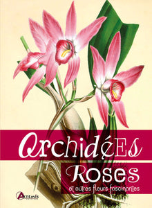 Orchidées, roses et autres fleurs fascinantes