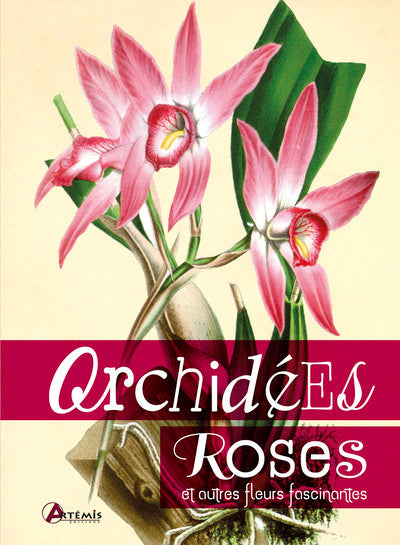 Orchidées, roses et autres fleurs fascinantes