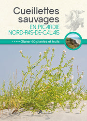 Cueillettes sauvages en Picardie-Nord-Pas-de-Calais
