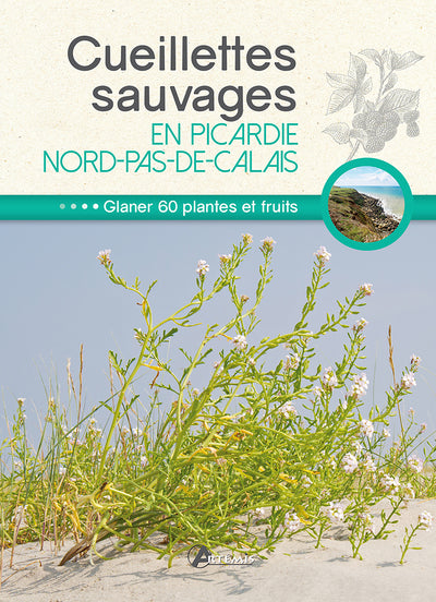 Cueillettes sauvages en Picardie-Nord-Pas-de-Calais