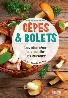 Cèpes & bolets