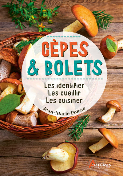 Cèpes & bolets