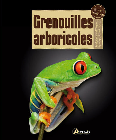 Grenouilles arboricoles