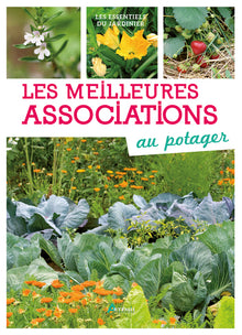 Les meilleures associations au potager