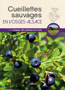 Cueillettes sauvages en Vosges-Alsace