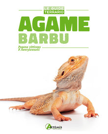 Agame barbu