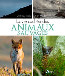 La vie cachée des animaux sauvages