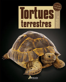 Tortues terrestres