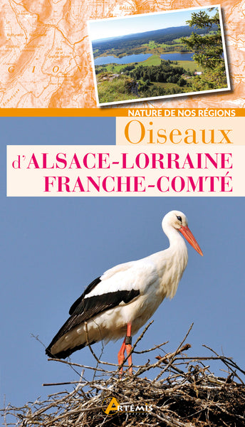 Oiseaux d'Alsace-Lorraine-Franche-Comté