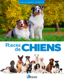 Races de chiens