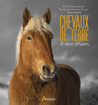 Chevaux de terre et vent d'hiver