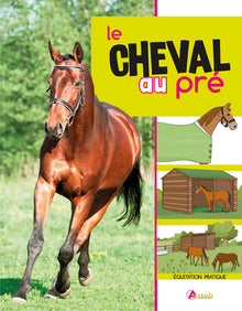 Le cheval au pré