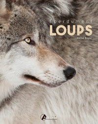 Eperdument loups
