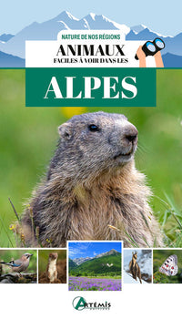 Animaux faciles à voir dans les Alpes