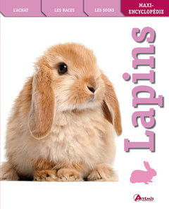 Lapins