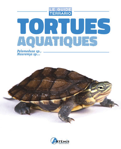 Tortues aquatiques
