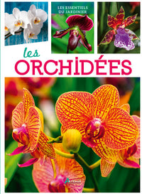 Orchidées
