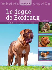 Dogue de Bordeaux