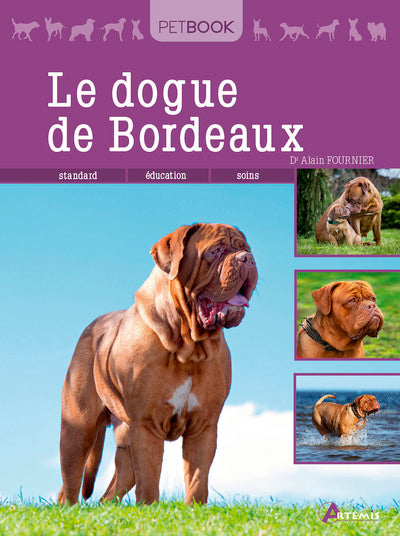 Dogue de Bordeaux