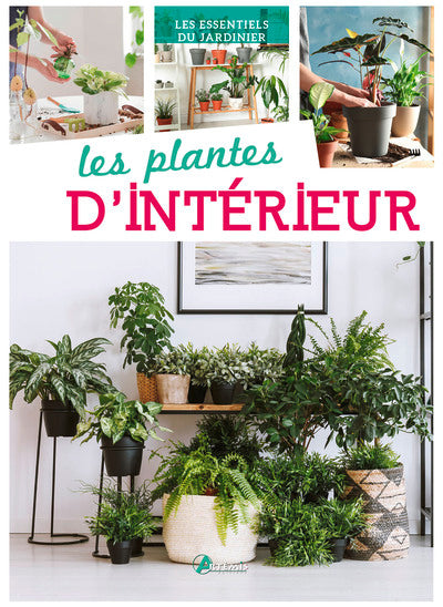 Plantes d'intérieur