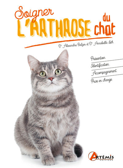 Soigner l'arthrose du chat