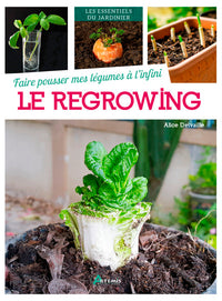 Faire pousser mes légumes à l'infini : le regrowing