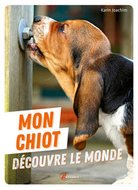 mon chiot decouvre le monde