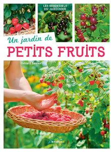 Un jardin de petits fruits