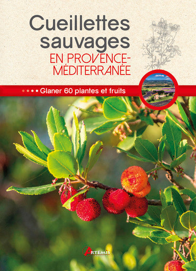Cueillettes sauvages en Provence-Méditerranée