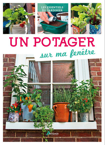 Un potager sur ma fenêtre
