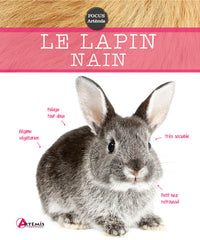 Lapin nain