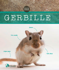 Gerbille