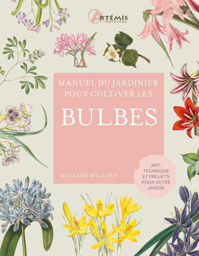 Pour cultiver les bulbes