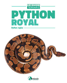 Python royal
