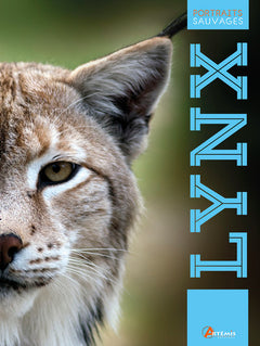 Le lynx
