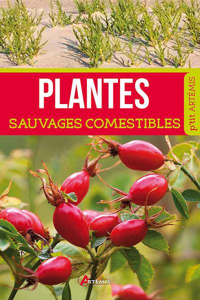 Plantes sauvages comestibles